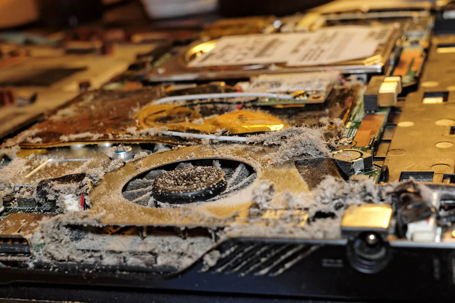 Dusty Internals